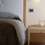 パーク アルジェント ホテル 4*